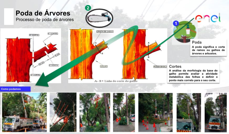 Processo de poda de áreas com árvores