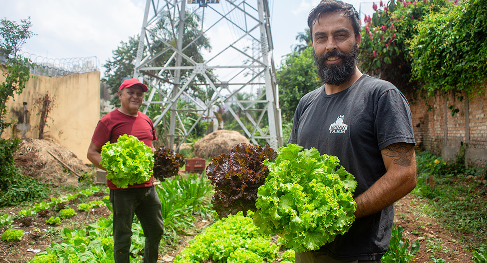 O projeto Hortas em Rede, que implementa hortas comunitárias em áreas de linhas de transmissão, vem transformando a periferia de São Paulo