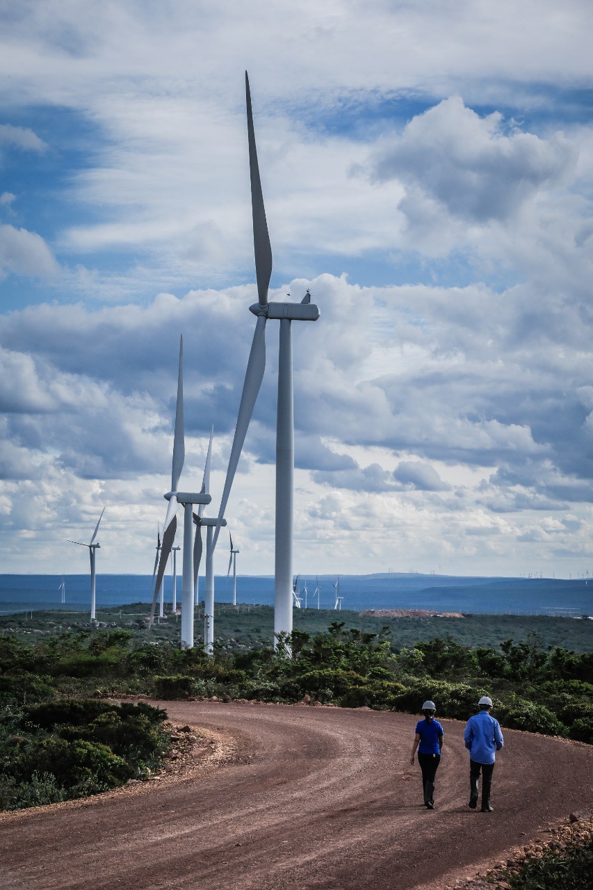 Renewable energy: Enel sets record for daily production