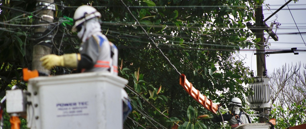 A ampliação do serviço de podas vem minimizando o efeito adverso de chuvas e tempestades
