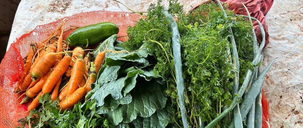Projeto permite alimentação mais saudável e geração de renda Projeto permite alimentação mais saudável e geração de renda