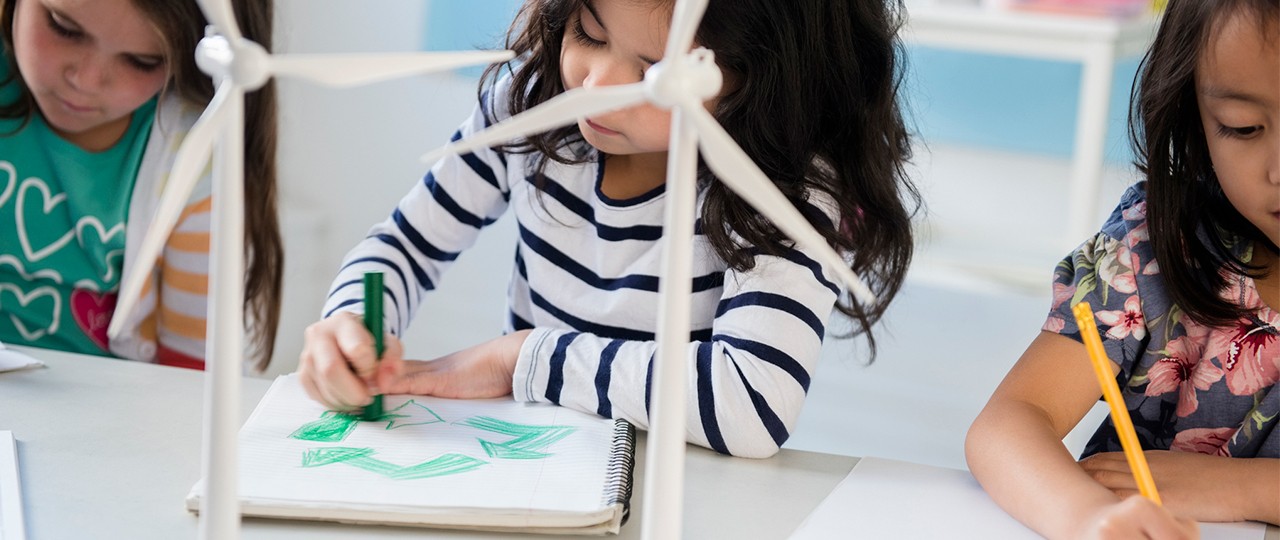 Iniciativas que combinam ensino e sustentabilidade