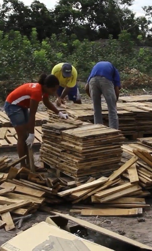 Reaproveitamento de pallets e bobinas